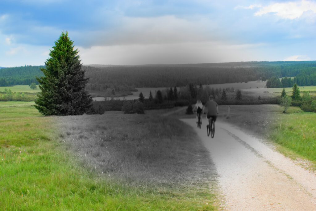 macular degeneration is a medical condition which may result in blurred or no vision in the center of the visual field.